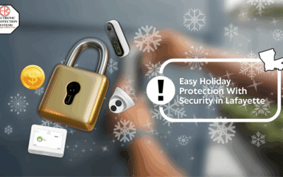 Easy Holiday Protection With Security in Lafayette